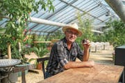 André Fallegger will das Treibhaus seiner Gärtnerei im Felmis für Anlässe nutzen. (Bild: Dominik Wunderli (Horw, 25. September 2017))