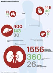 Bild: Grafik: Jana Breder