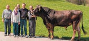Siegerpreis: Braunvieh-Stier «Mars» von Ruedi und Remo Stettler aus Meierskappel. (Bild: PD)