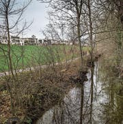 Die Sure soll revitalisiert werden. (Bild: Boris Bürgisser (Oberkirch, 28. November 2017))