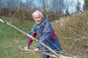 Der 85-jährige Eiselin bei sich zu Hause in Udligenswil. (Bild: Dominik Wunderli (Udligenswil, 2. März 2017))