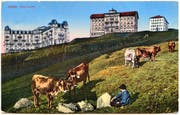 Oben: Die drei Hotels auf Rigi Kulm, von links: Hotel Schreiber, erbaut 1872 bis 1875, Hotel Regina Montium, eröffnet 1857, und Hotel Rigi-Kulm, eröffnet 1848, abgebildet auf einer Postkarte.