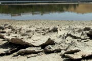 In Sulz wird das Wasser knapp. (Symbolbild/AP Photo/Chris Carlson)