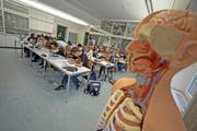 Die naturwissenschaftlichen Fächer – im Bild eine Szene aus dem Biologieunterricht – werden an zwei Untergymnasien im Kanton Luzern nun doch nicht stärker gefördert. (Archivbild Pius Amrein)