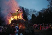 Die Flammen machten der Sau den Garaus (Bild: Maria Schmid (28. Februar 2017))