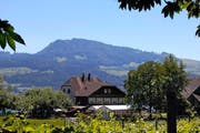 Das Gasthaus Zu den zwei Raben im Vordergrund des Etzels. (Bild: Elvira Jäger/Neue SZ)