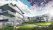 Bis das Projekt Hanami realisiert wird, dauert es wohl noch eine Weile. (Bild: Visualisierung PD)