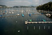 Der Segelboothafen Tribschenhorn vor der umfassenden Sanierung. (Bild: Pius Amrein / Neue LZ)