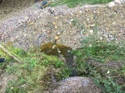 Die Feuerwehr pumpte die Gülle zurück auf die Wiese und spülte den Bach. (Bild Feuerwehr Wolhusen)