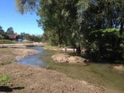 Der Aabach wurde revitalisiert. Das Projekt führte Richi Stadelmann. (Bild: wwf-zentral.ch)