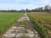 Hier entstehen die neuen Flachtümpel. Diese Flurstrasse wird um 35 Meter nach Norden versetzt. (Bild PD/Roman Graf)