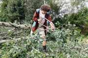 Ein Zivildienstleistender bei der Arbeit im Wald. (Bild: Keystone/Peter Klaunzer)