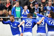 Bald werden die Spieler von Schalke 04 in der Swissprarena auf der Allmend zu sehen sein: Die Mannschaft wird im Juli gegen den FC Luzern spielen. Auf dem Bild feiern die Schalke-Spieler Eric-Maxim Choupo-Moting (2. v. r.) Sead Kolasinac (links), Klaas-Jan Huntelaar (2.v.l.), und Leroy Sane (rechts) ein Tor im Bundesliga-Spiel gegen Hannover 96 im April. (Bild: Keystone / Peter Steffen)