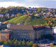 Um Stuttgarts Weinberge zu sehen, braucht man nicht weit zu gehen – sie liegen praktisch vor der Haustür.