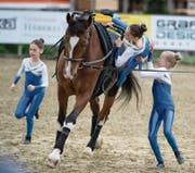 Die Fördergruppe Ruswil (oben) in voller Aktion. Links: Deborah Hermann richtet sich auf dem Pferderücken auf. Rechts: die Clowns von Rottal II. (Bilder: Corinne Glanzmann (Dagmersellen, 2. Juli 2017))