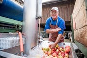 Passion und Erwerb zugleich: Lohnmoster Hubi Fischer. (Bild: Roger Gruetter)