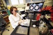 Slavica Djokic an ihrem Arbeitsplatz bei der Firma Schurter. (Bild: Corinne Glanzmann / Neue LZ)