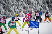 «Stemmbögle» statt Matheprüfung: In Vitznau ist Schneesport Pflichtfach. (Bild Corinne Glanzmann)