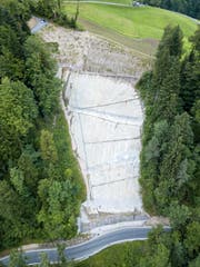 So sieht die fertige Hangsicherung am Hergiswald aus. (Bild: Roger Grütter/LZ (Kriens, 13.07.2017))