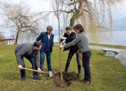 Philipp Küng, Christian Sidler, Künstlerin Anne-Julie Raccoursier und Alexandra Townend Genoni (von links) pflanzen im Waldheim einen Apfelbaum. (Bild Romano Cuonz)