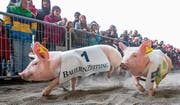 Beim Luga-Klassiker sind die Ränge trotz schlechtem Wetter voll (Bild: Philipp Schmidli (Luzern, 28. April 2017))