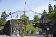 Die neue Bartgeieranlage im Tierpark Goldau. (Bild: PD)