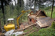 Während Jahren vermietete die Gemeinde Kriens diese illegal gebaute Hütte im Gebiet Rigiblick im Krienser Hochwald. Gestern wurde sie innert 30 Minuten abgerissen. (Bilder Pius Amrein)