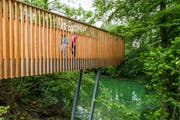 Der Lorzenweg führt über einen neuen Holzsteg. (Bild: Andreas Busslinger / PD)