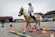 Im Parcours: Janine Grob auf Haflinger New Star.Bild: Werner Schelbert (Zug, 26. November 2016)