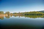 Blick über den Baldeggersee – im Hintergrund ist der Pilatus zu erkennen. (Archivbild Pius Amrein / Neue LZ)