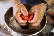 Problemlos ist das Sammeln von Samen sortenechter Pflanzen: Sie vererben ihre Eigenschaften immer komplett an ihre Nachkommen weiter. (Bild: Gaetan Bally / Keystone)