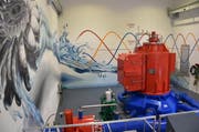 Blick auf die Turbine mit dem Generator in der Zentrale Müliacher in Steinen. (Bild: PD)
