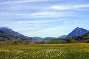 Das Naturschutzgebiet Hanenried am Südufer des Sarnersees ist eines der schönsten und wichtigsten Feuchtgebiete des Kantons Obwalden. (Bild: Romano Cuonz)