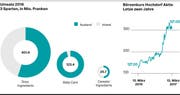 Visualisierung Umsatz 2016 beim Milchverarbeiter. (Bild: Hochdorf; Grafik: Lea Siegwart)