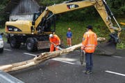 Mit einer Motorsäge zerlegte man den Stamm. (Bild: Geri Holdener)