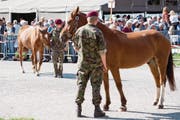 Versteigerung der Pferde des mutmasslichen Tierquälers aus Hefenhofen TG. (Bild: Anthony Anex/Keystone (Schönbühl, 17. August 2017))