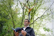 HansPeter Hürlimann, Präsident des Vereins Luzerner Wanderwege, unterwegs am Rande des Meggerwaldes. (Bild Nadia Schärli)