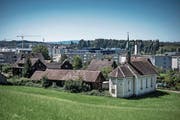 Viele Dierikoner wollen weder Billag-Gebühren, noch Bundessteuern zahlen. (Bild: Pius Amrein (8. August 2016))