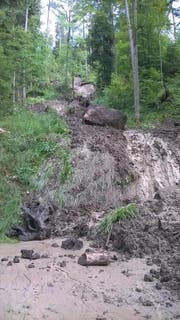 Ein von Oberflächenwasser ausgelöster Rutsch erstreckt sich bis auf Waldstrasse. (Bild: PD)