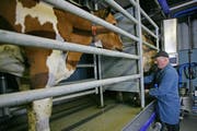 Ein Landwirt bei der Arbeit. (Symbolbild Philipp Schmidli/Neue LZ)