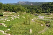 Der Natur- und Tierpark Goldau wurde als vorbildliches Areal ausgezeichnet. Ein Teil davon ist die 2009 eröffnete Gemeinschaftsanlage für Bär und Wolf. Diese bietet den beiden Beutegreifern viel Platz und schafft mit dem angrenzenden Schuttbach einen wichtigen Lebensraum für verschiedene Tier- und Pflanzenarten. (Bild: PD)