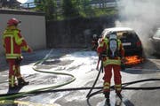 Die Einsatzkräfte der Schadenwehr Brunnen-Ingebohl löschen den Fahrzeugbrand. (Bild: Kantonspolizei Schwyz)