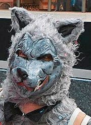 Meister Isegrim.