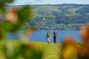 Wanderer am Baldeggersee. (Bild: PD / perretfoto.ch)