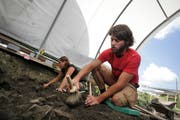 Archäologen bei der Ausgrabung im Alpenblick in Cham. (Bild Stefan Kaiser/Neue ZZ)
