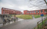 Auf dieser Wiese vor dem Schulhaus Erlen soll im Januar 2019 ein Provisorium eröffnet werden. (Bild: Pius Amrein (Emmen, 26. März 2018))