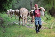 Die neue Beratungsstelle soll Landwirte auch bei rechtlichen Fragen unterstützen. (Bild: Pablo Gianinazzi/Keystone (Quinto TI, 5. Juli 2014))