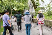 Sprechen nur «hinter dem Rücken» über ihre wahren Eindrücke: chinesische Touristen beim Löwendenkmal in Luzern. (Bild Roger Grütter)