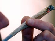 Das Cannabis war offenbar für den Markt in Westeuropa bestimmt (Bild: Keystone)