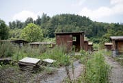 Der Boden zahlreicher Familiengärten beim Friedental ist voller Altlasten und wird nun saniert. (Bild: Corinne Glanzmann)